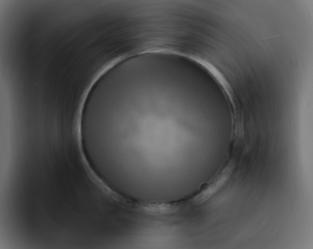 X0000092110957200710031228