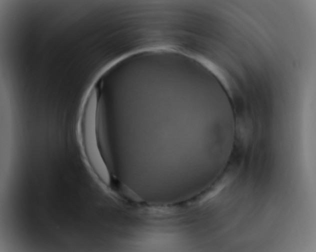 X0000092110959200710031228