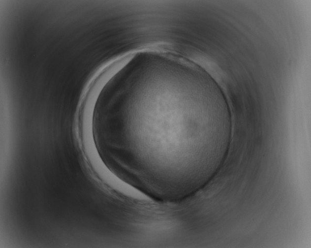 X0000092110960200710031228