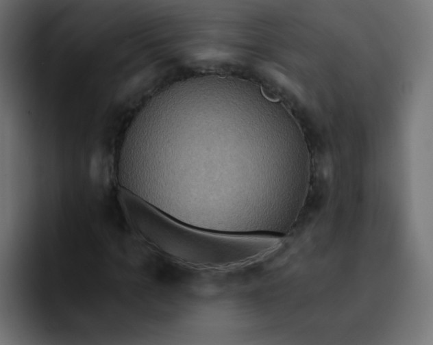 X0000092110965200710031228