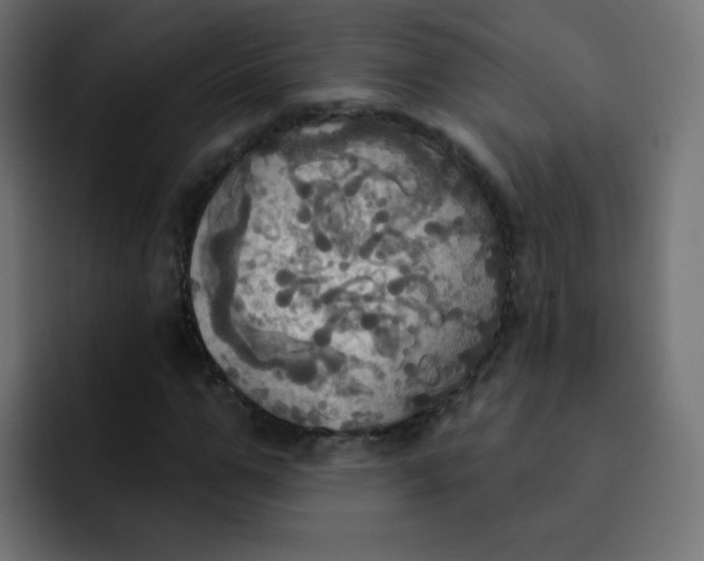 X0000092110967200710031228