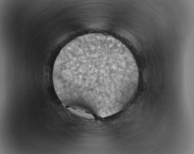 X0000092110968200710031228