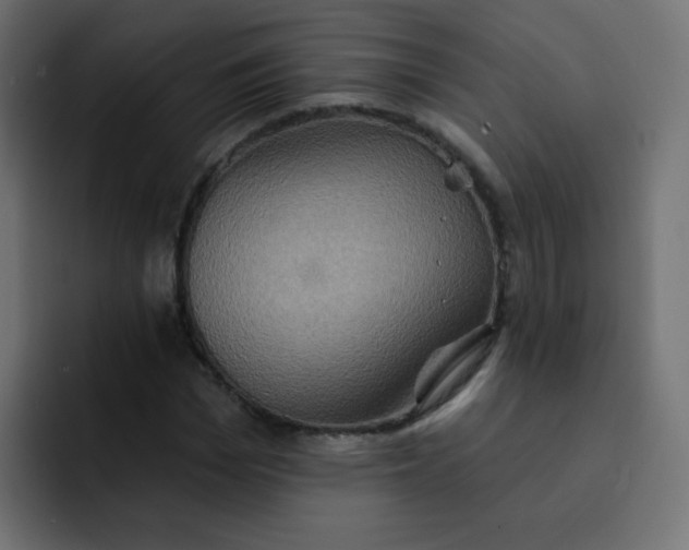 X0000092110969200710031228