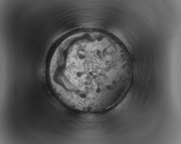 X0000092110971200710031227