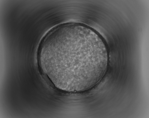 X0000092110972200710031227