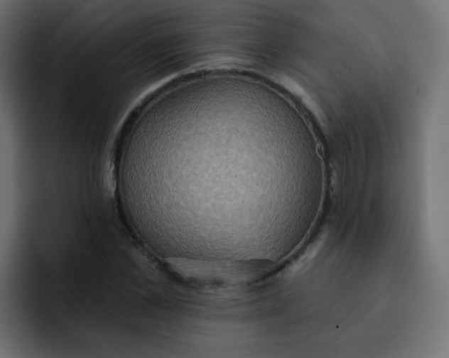 X0000092110973200710031227