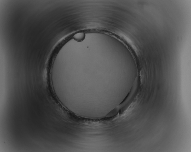 X0000092110975200710031227