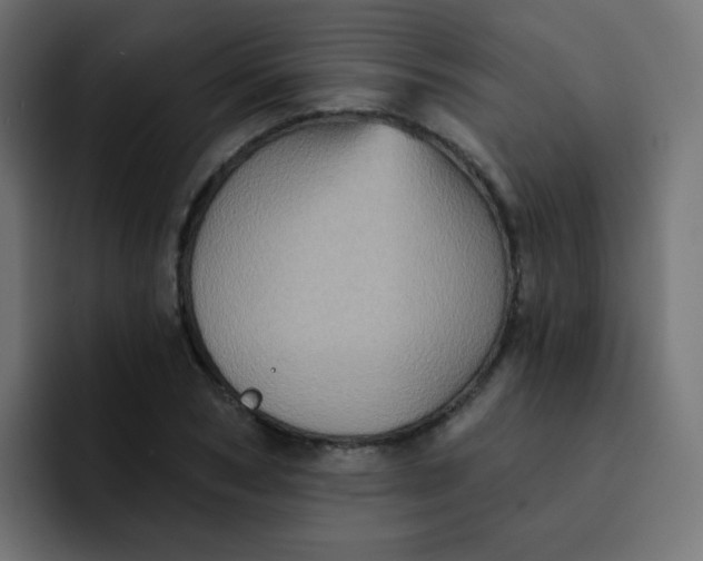 X0000092110978200710031227