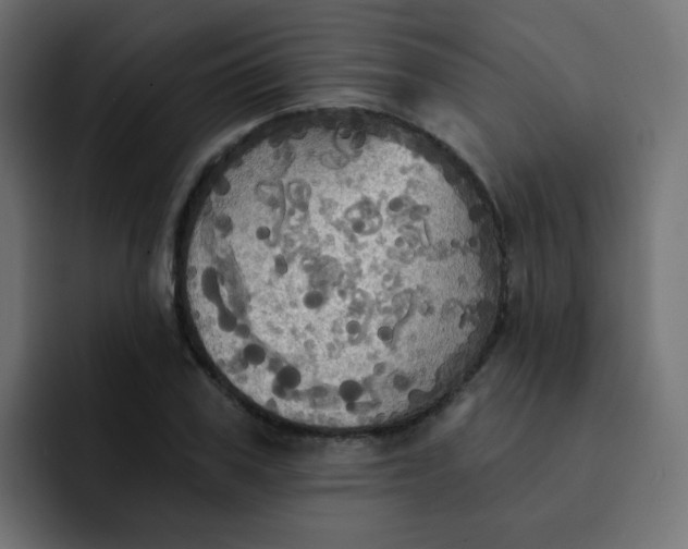 X0000092110979200710031227
