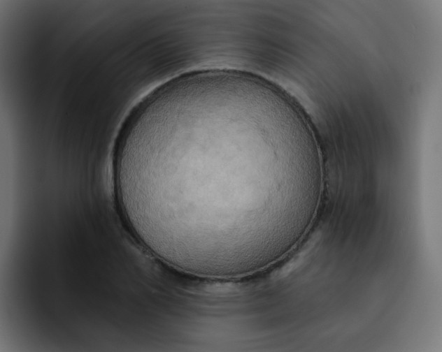 X0000092110982200710031227