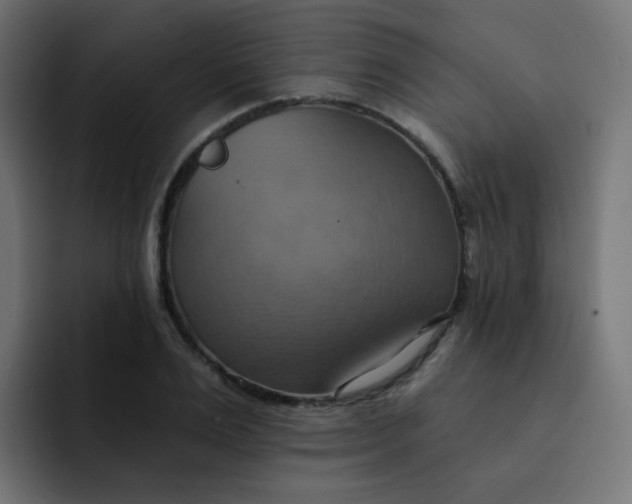 X0000092110983200710031227