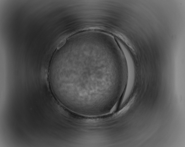 X0000092110985200710031227