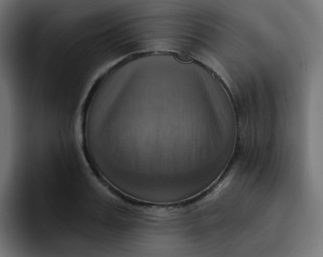 X0000092110987200710031227