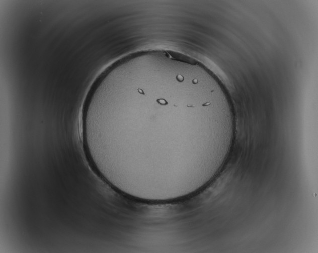 X0000092110988200710031227