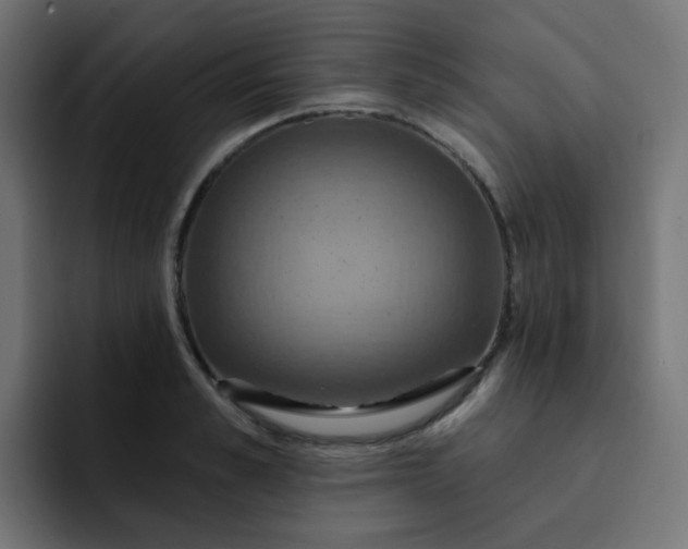 X0000092110989200710031227