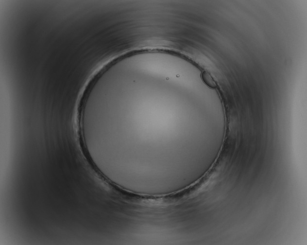 X0000092110990200710031227