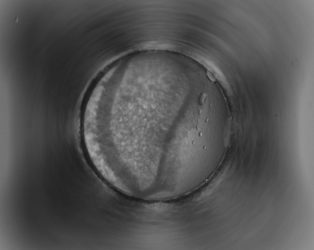 X0000092110992200710031227