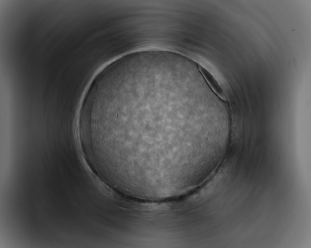 X0000092110996200710031227