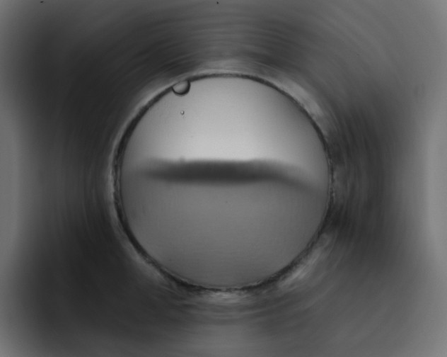 X0000092110998200710031227