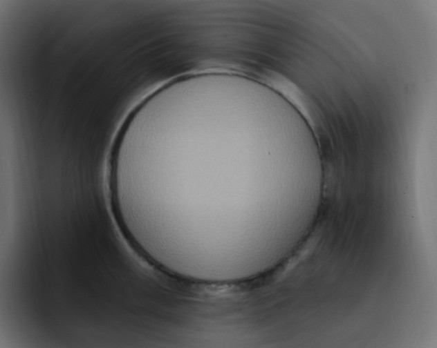 X0000092111003200710031227