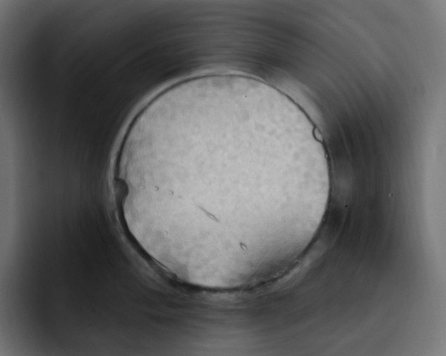 X0000092111004200710031227