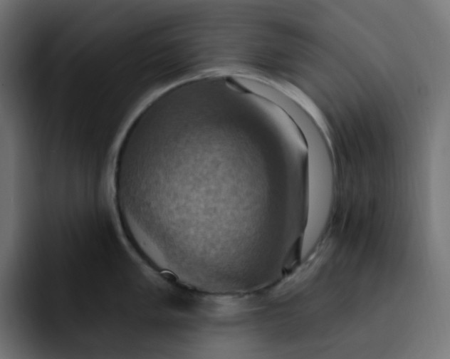 X0000092111005200710031227