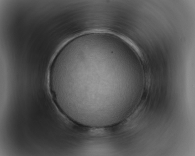 X0000092111006200710031227