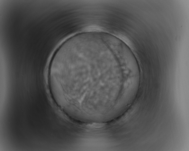 X0000092111008200710031227