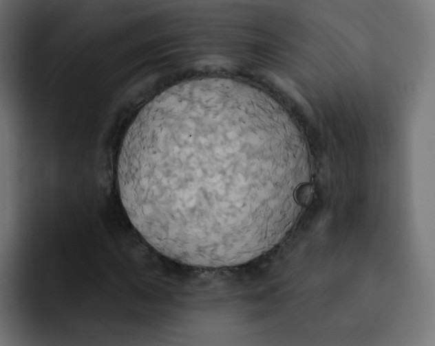 X0000092111015200710031227