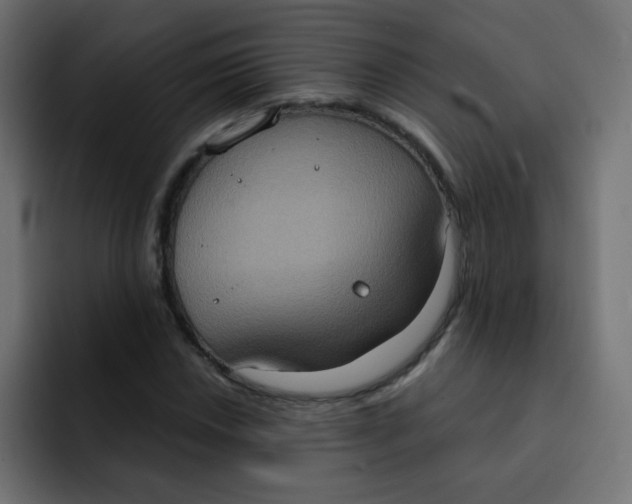 X0000092111018200710031227