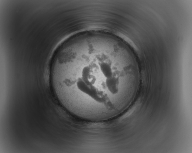 X0000092111021200710031227