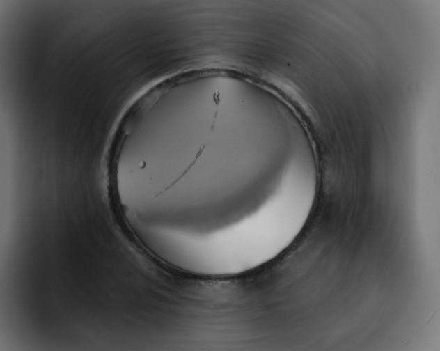 X0000092111024200710031227