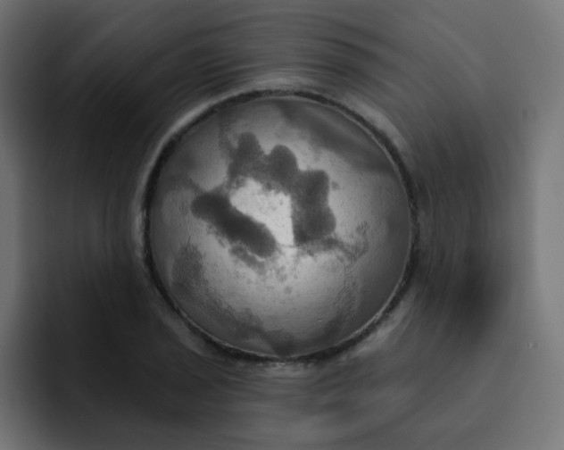 X0000092111029200710031227