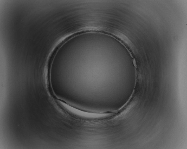 X0000092111030200710031227