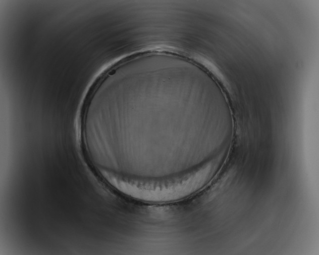 X0000092111032200710031227