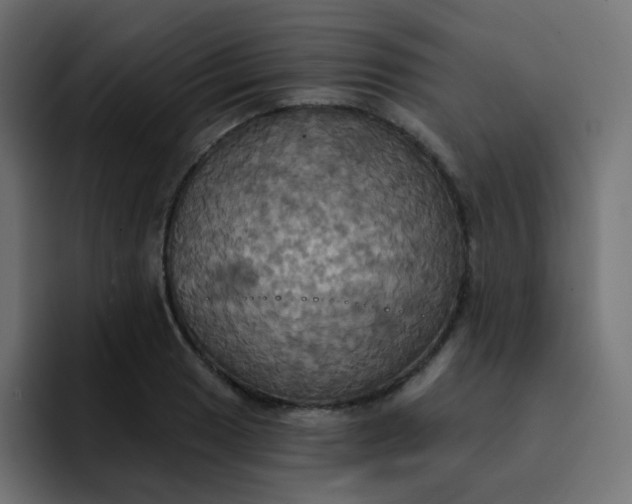 X0000092111033200710031227