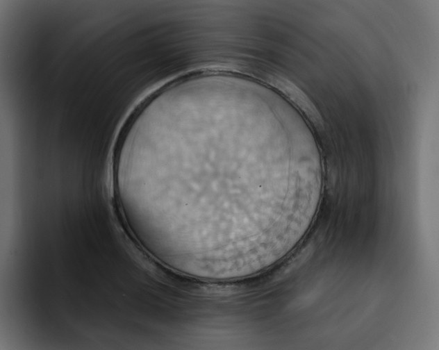 X0000092111036200710031227