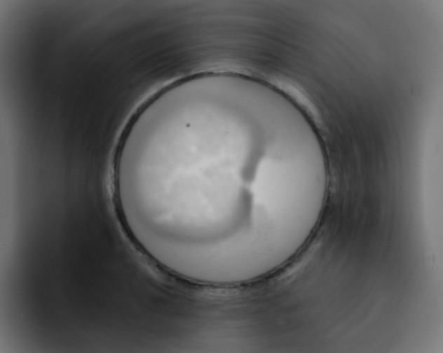 X0000092111040200710031227