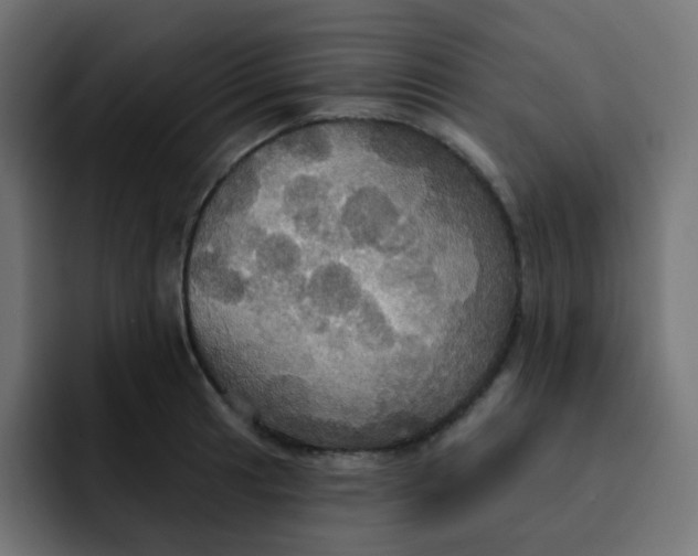 X0000092111041200710031227