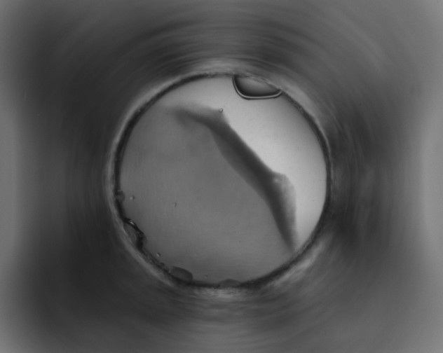 X0000092111045200710031227