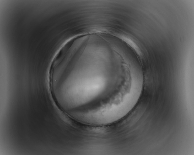 X0000092111047200710031227