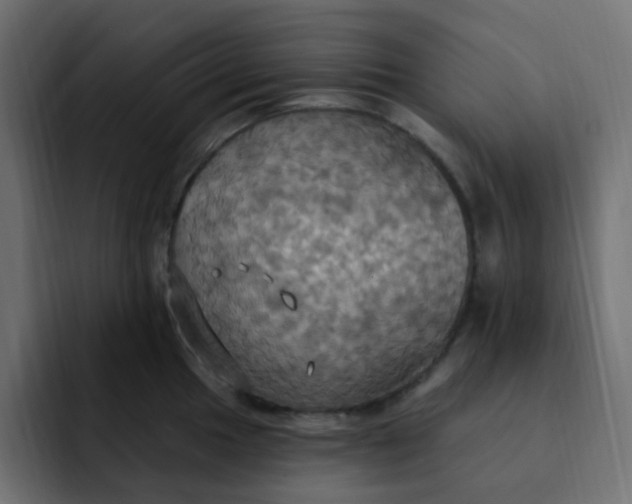 X0000092111049200710031227