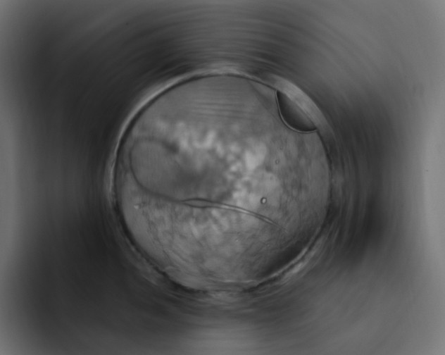 X0000092111052200710031227