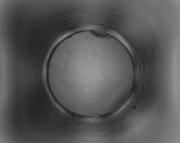 X0000092111053200710031227