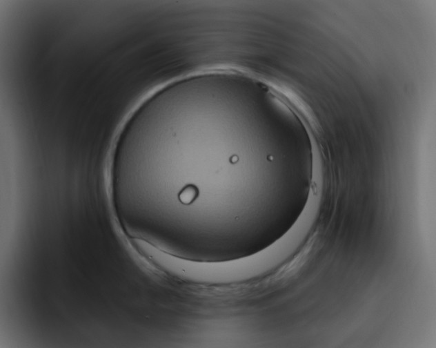 X0000092111054200710031227