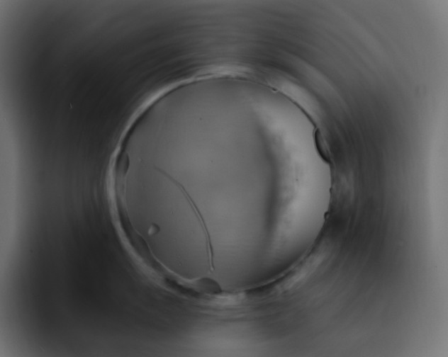 X0000092111055200710031227