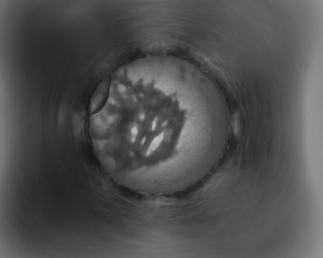 X0000092111059200710031226