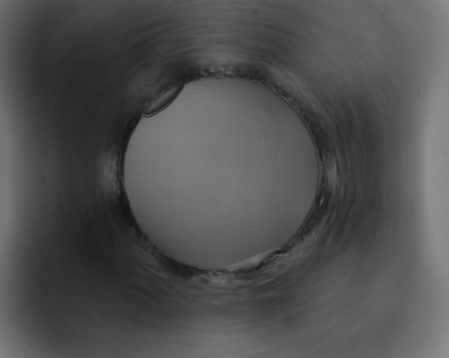 X0000092111060200710031226