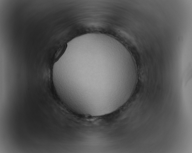 X0000092111061200710031226