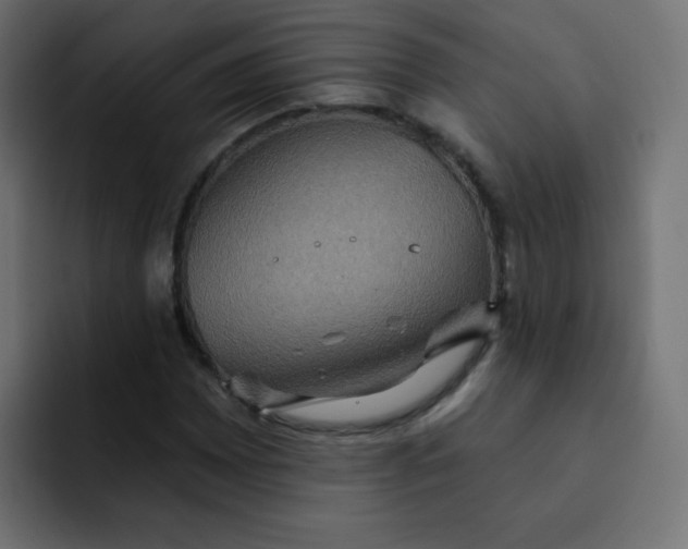 X0000092111065200710031226